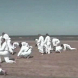 1997 compleet Strand-training.avi_001235528